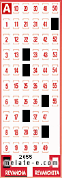 Volante ganador del sorteo 2055 de Revancha