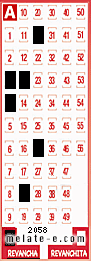 Volante ganador del sorteo 2058 de Revancha
