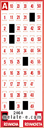 Volante ganador del sorteo 2060 de Revancha