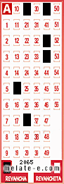 Volante ganador del sorteo 2065 de Revancha