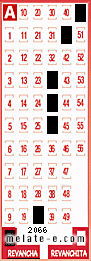 Volante ganador del sorteo 2066 de Revancha