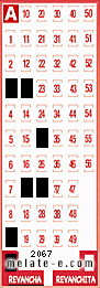 Volante ganador del sorteo 2067 de Revancha