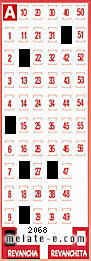 Volante ganador del sorteo 2068 de Revancha