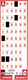 Volante ganador del sorteo 2070 de Revancha