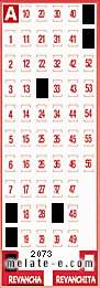 Volante ganador del sorteo 2073 de Revancha