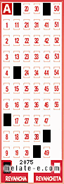 Volante ganador del sorteo 2075 de Revancha