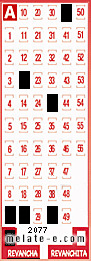 Volante ganador del sorteo 2077 de Revancha