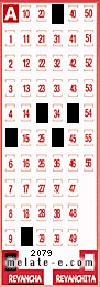 Volante ganador del sorteo 2079 de Revancha