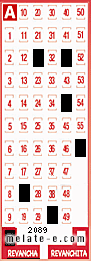 Volante ganador del sorteo 2089 de Revancha
