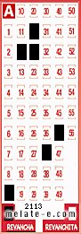 Volante ganador del sorteo 2113 de Revancha