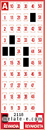 Volante ganador del sorteo 2118 de Revancha