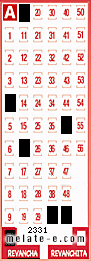 Volante ganador del sorteo 2331 de Revancha