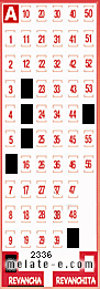 Volante ganador del sorteo 2336 de Revancha