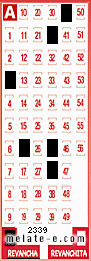Volante ganador del sorteo 2339 de Revancha