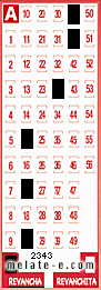 Volante ganador del sorteo 2343 de Revancha