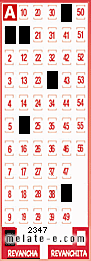 Volante ganador del sorteo 2347 de Revancha