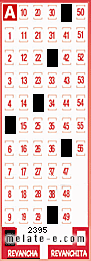 Volante ganador del sorteo 2395 de Revancha