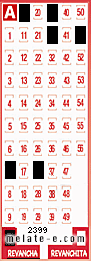 Volante ganador del sorteo 2399 de Revancha