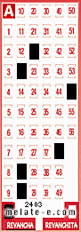 Volante ganador del sorteo 2403 de Revancha