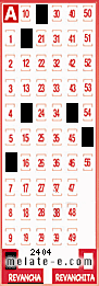 Volante ganador del sorteo 2404 de Revancha