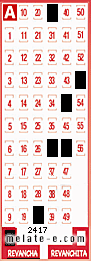 Volante ganador del sorteo 2417 de Revancha