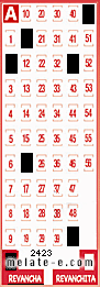 Volante ganador del sorteo 2423 de Revancha