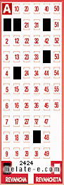 Volante ganador del sorteo 2424 de Revancha