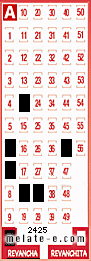 Volante ganador del sorteo 2425 de Revancha