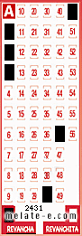 Volante ganador del sorteo 2431 de Revancha