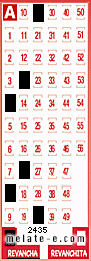 Volante ganador del sorteo 2435 de Revancha