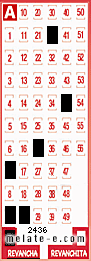 Volante ganador del sorteo 2436 de Revancha