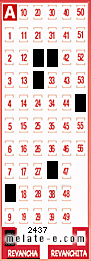 Volante ganador del sorteo 2437 de Revancha