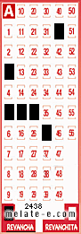 Volante ganador del sorteo 2438 de Revancha