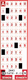 Volante ganador del sorteo 2443 de Revancha