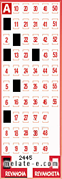 Volante ganador del sorteo 2445 de Revancha