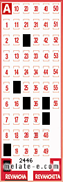 Volante ganador del sorteo 2446 de Revancha