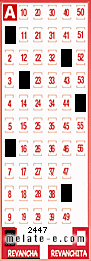 Volante ganador del sorteo 2447 de Revancha