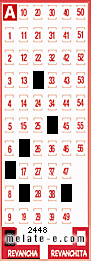 Volante ganador del sorteo 2448 de Revancha