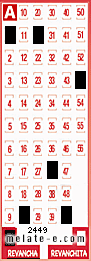 Volante ganador del sorteo 2449 de Revancha