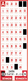 Volante ganador del sorteo 2456 de Revancha