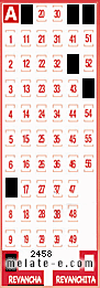 Volante ganador del sorteo 2458 de Revancha