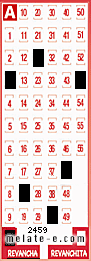 Volante ganador del sorteo 2459 de Revancha