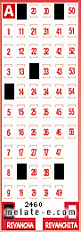 Volante ganador del sorteo 2460 de Revancha