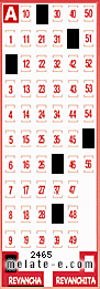 Volante ganador del sorteo 2465 de Revancha