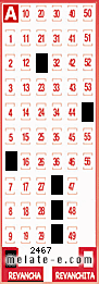 Volante ganador del sorteo 2467 de Revancha