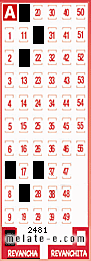 Volante ganador del sorteo 2481 de Revancha