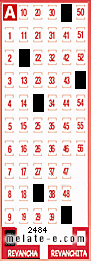 Volante ganador del sorteo 2484 de Revancha