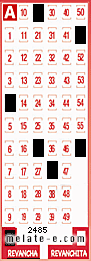 Volante ganador del sorteo 2485 de Revancha