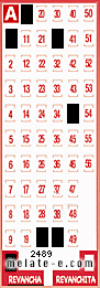Volante ganador del sorteo 2489 de Revancha