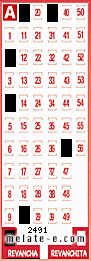 Volante ganador del sorteo 2491 de Revancha